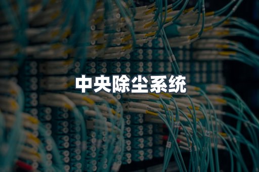 中央除尘系统